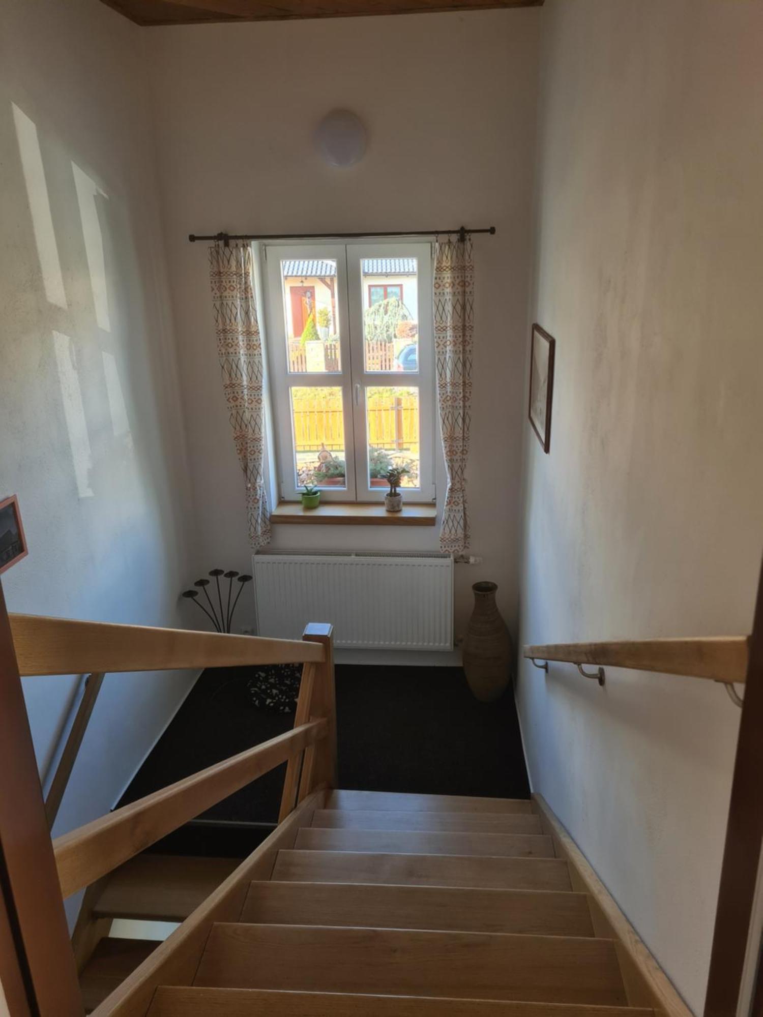 U-Aldy Lejlighed Velké Losiny Eksteriør billede